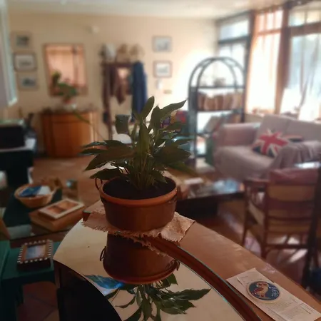 Oda ve Kahvaltı Casa Di Luca Agrigento
